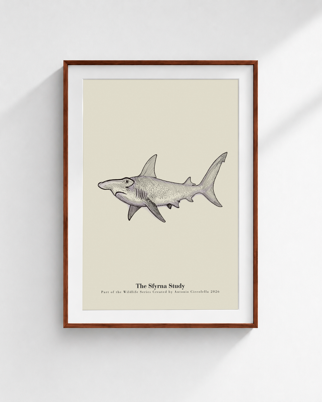 The Sfyrna Study | Vintage Hammerhead Shark Fine Art Print