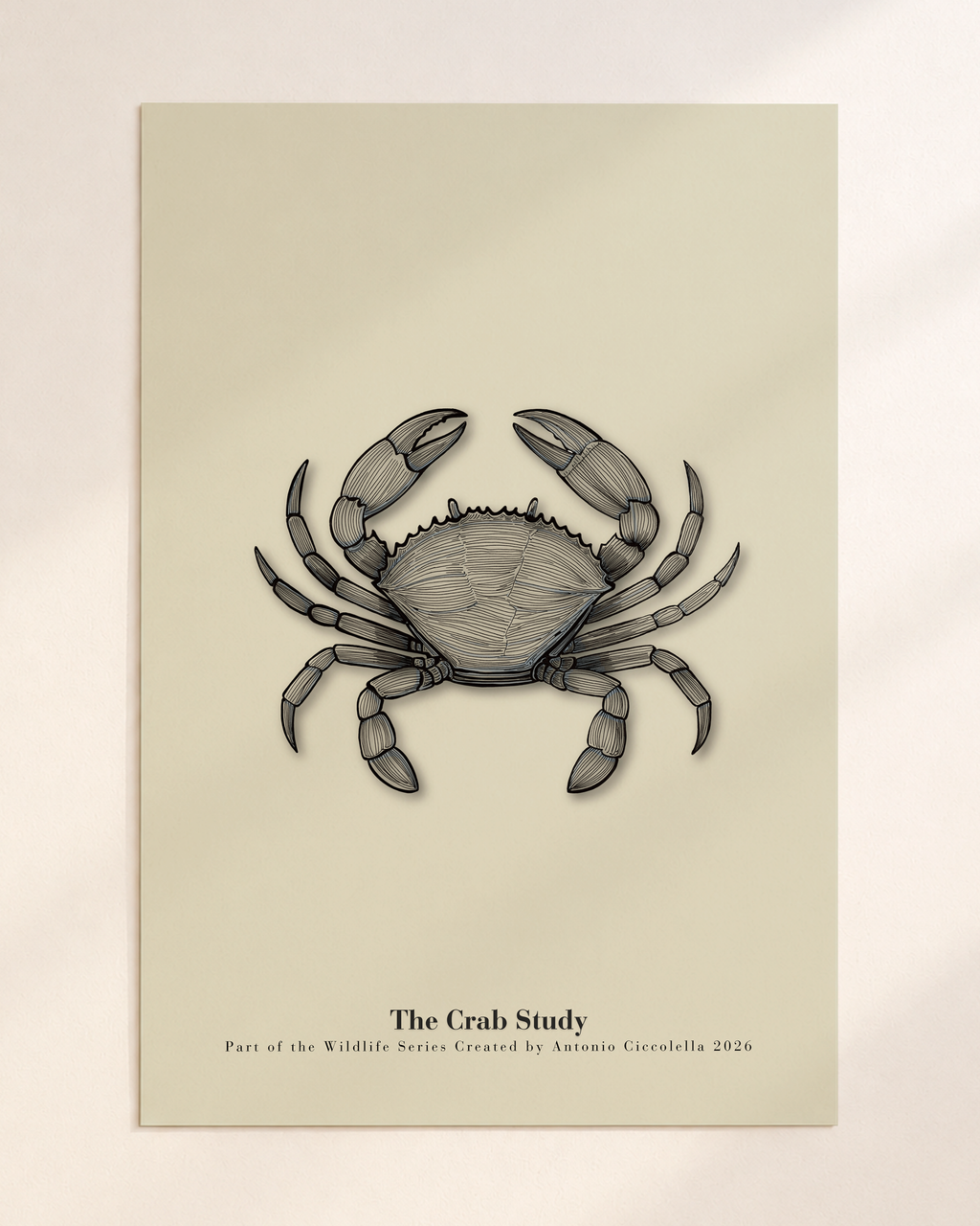 The Crab Study | Gallery Paper Crab Wall Art