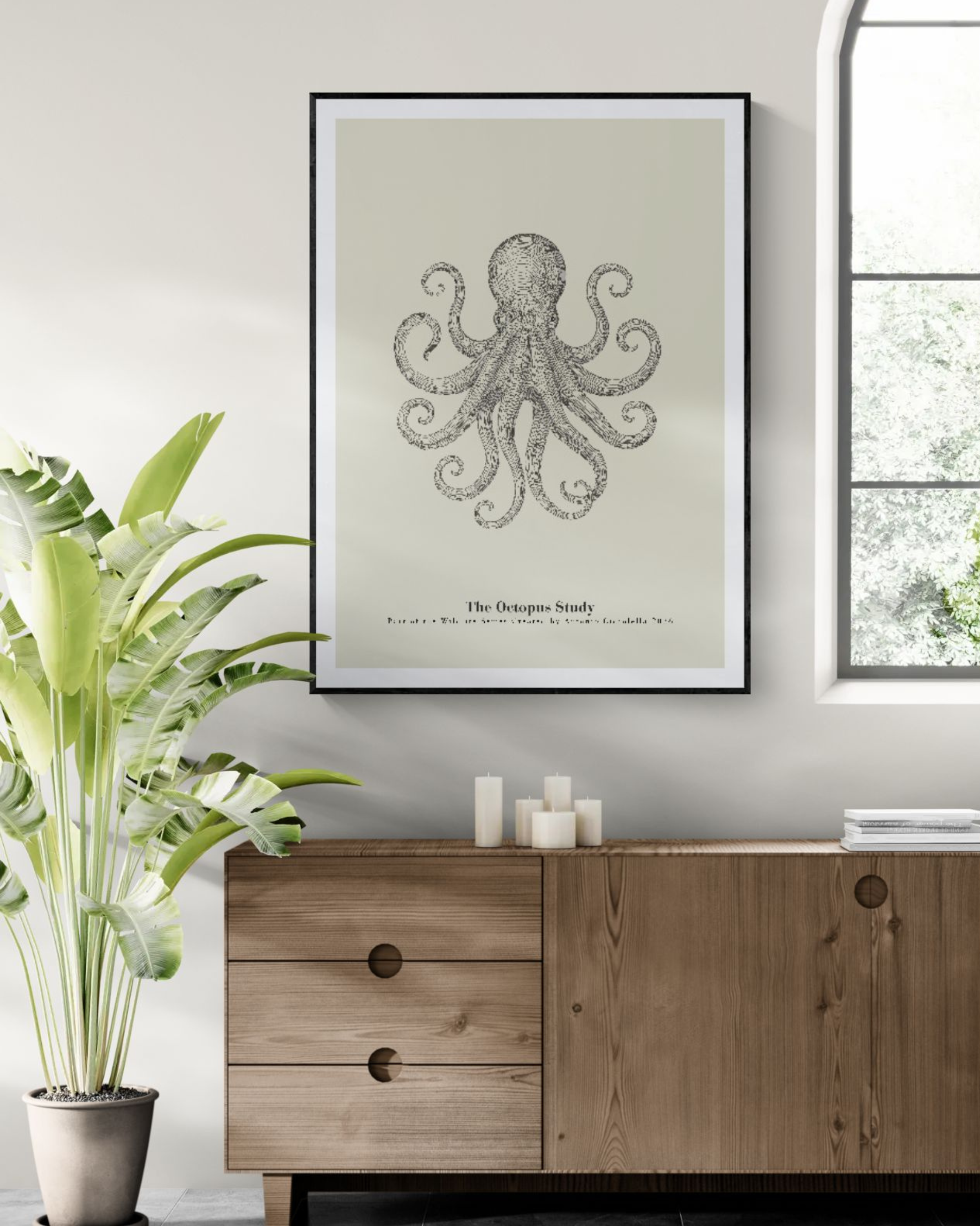 The Octopus Study | Vintage Octopus Fine Art Print