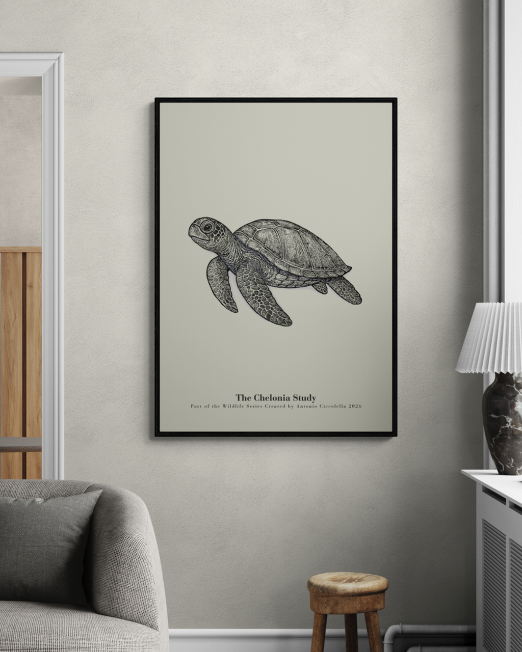 The Chelonia Study | Vintage Sea Turtle Fine Art Print