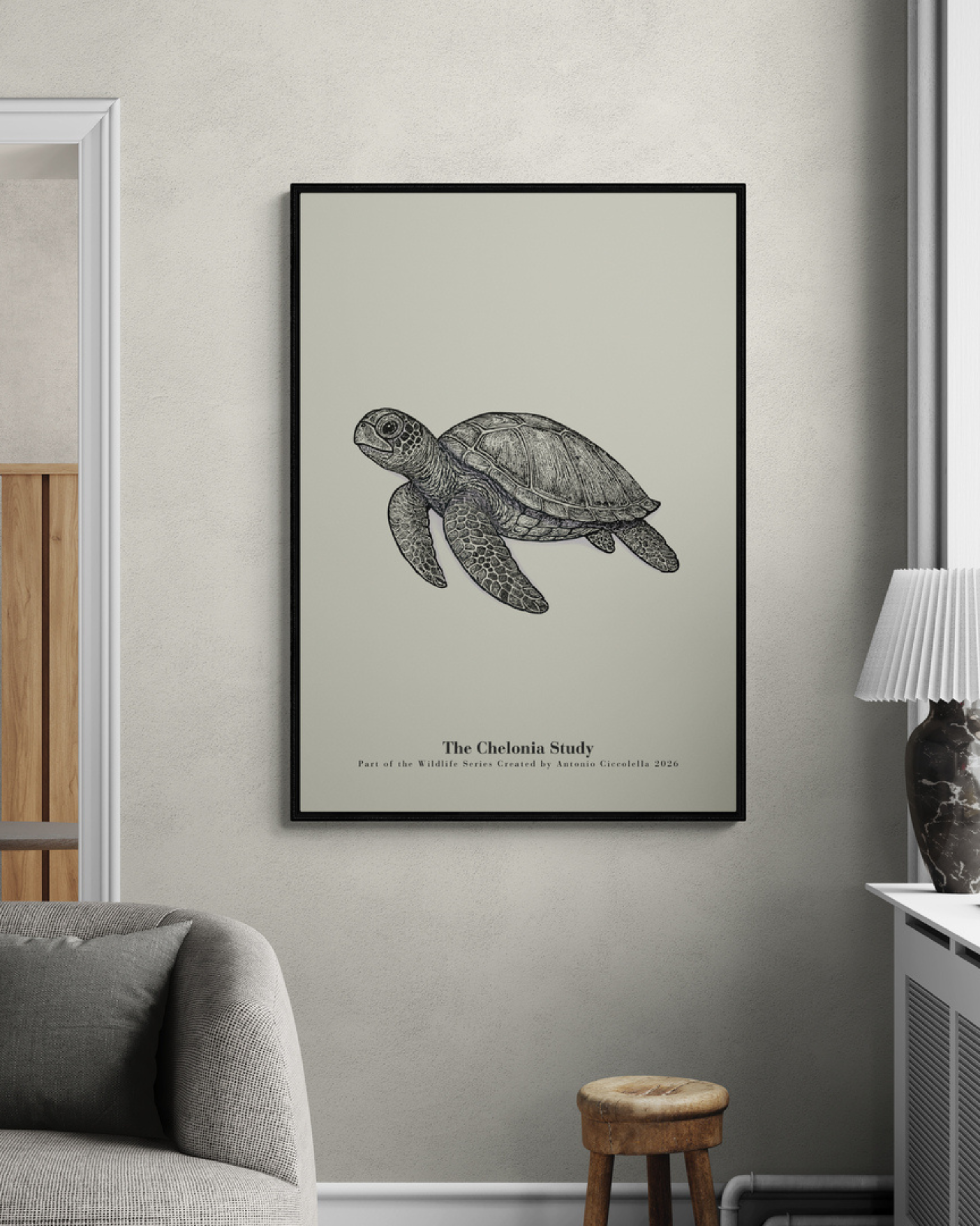 The Chelonia Study | Vintage Sea Turtle Fine Art Print
