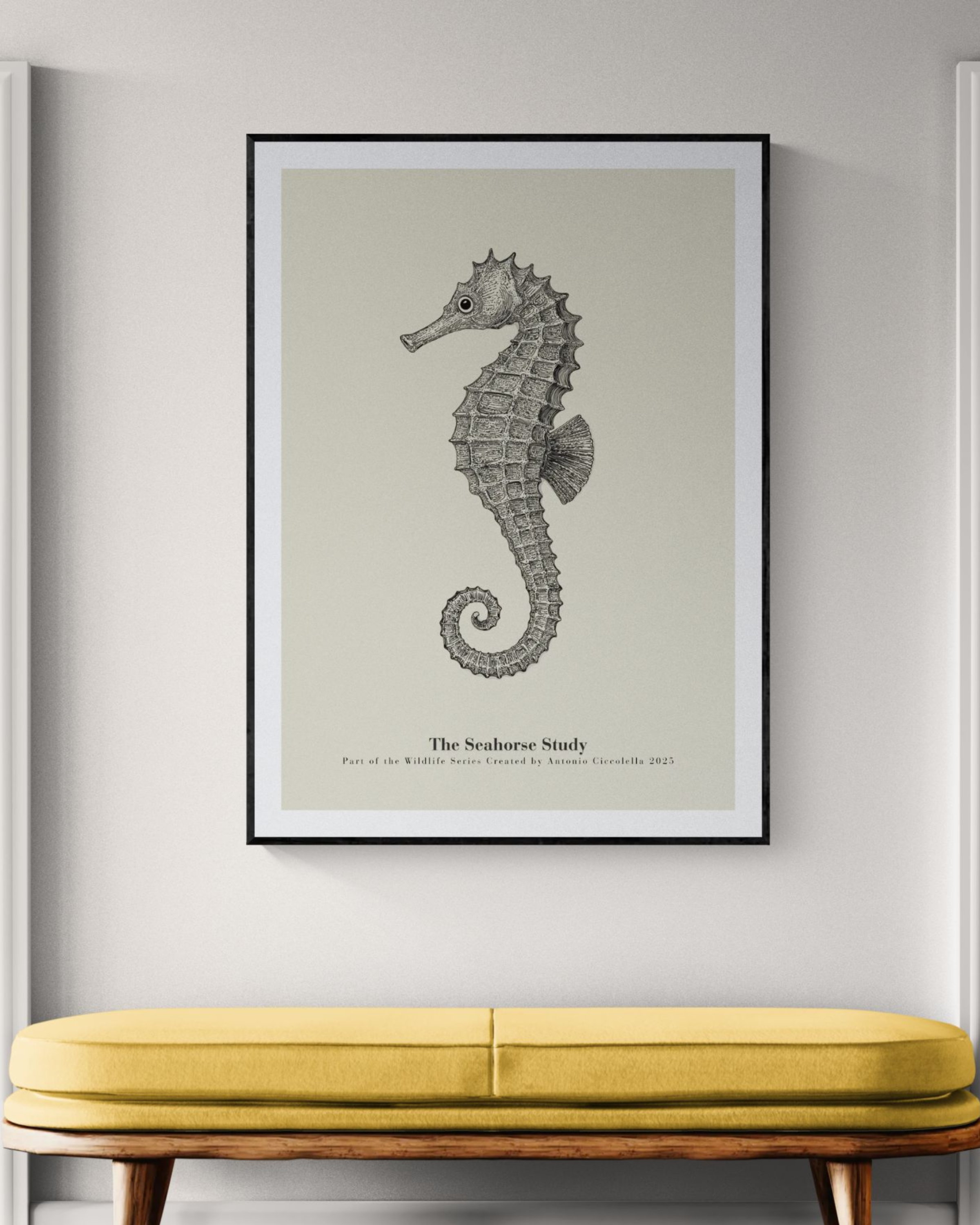 The Seahorse Study | Vintage Seahorse Fine Art Print