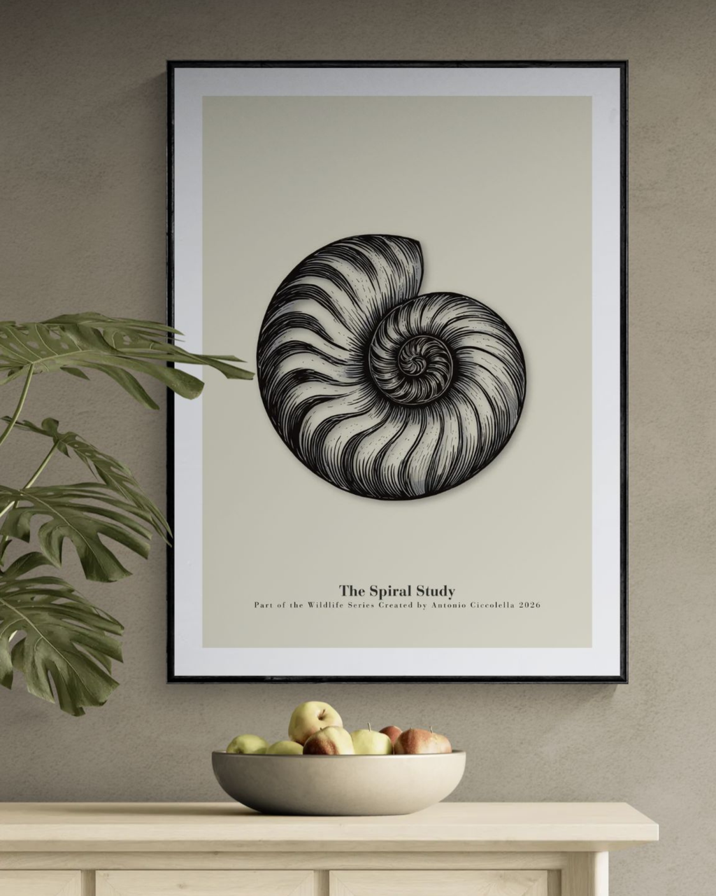 The Spiral Study | Vintage Nautilus Shell Fine Art Print