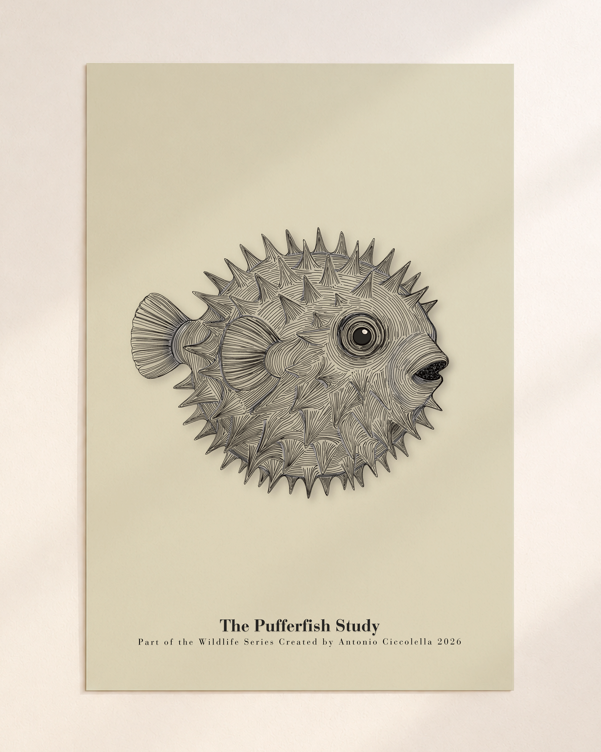 The Pufferfish Study | Gallery Paper Pufferfish Wall Art