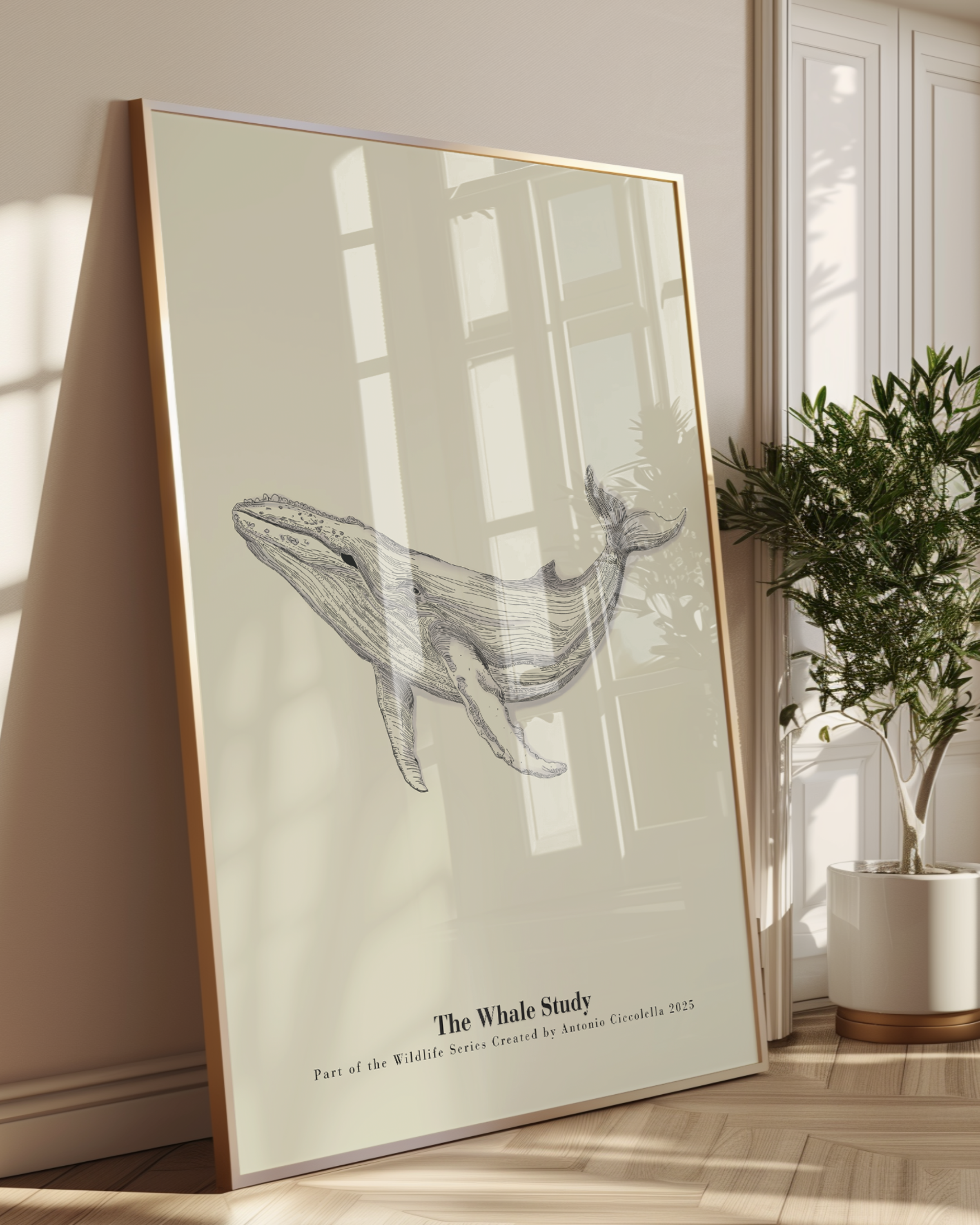 The Whale Study | Framed Whale Wall Art