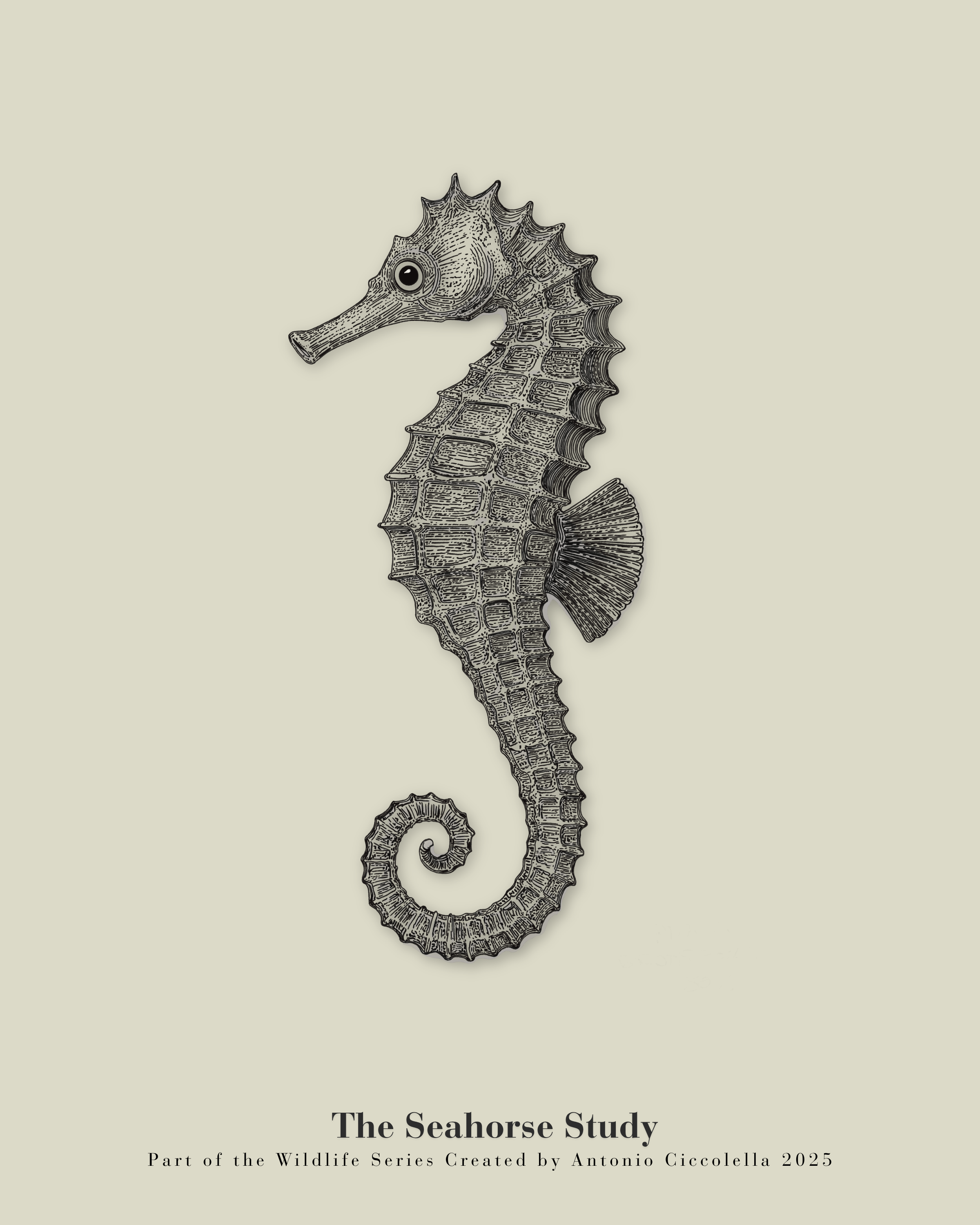 The Seahorse Study | Gallery Paper Seahorse Wall Art