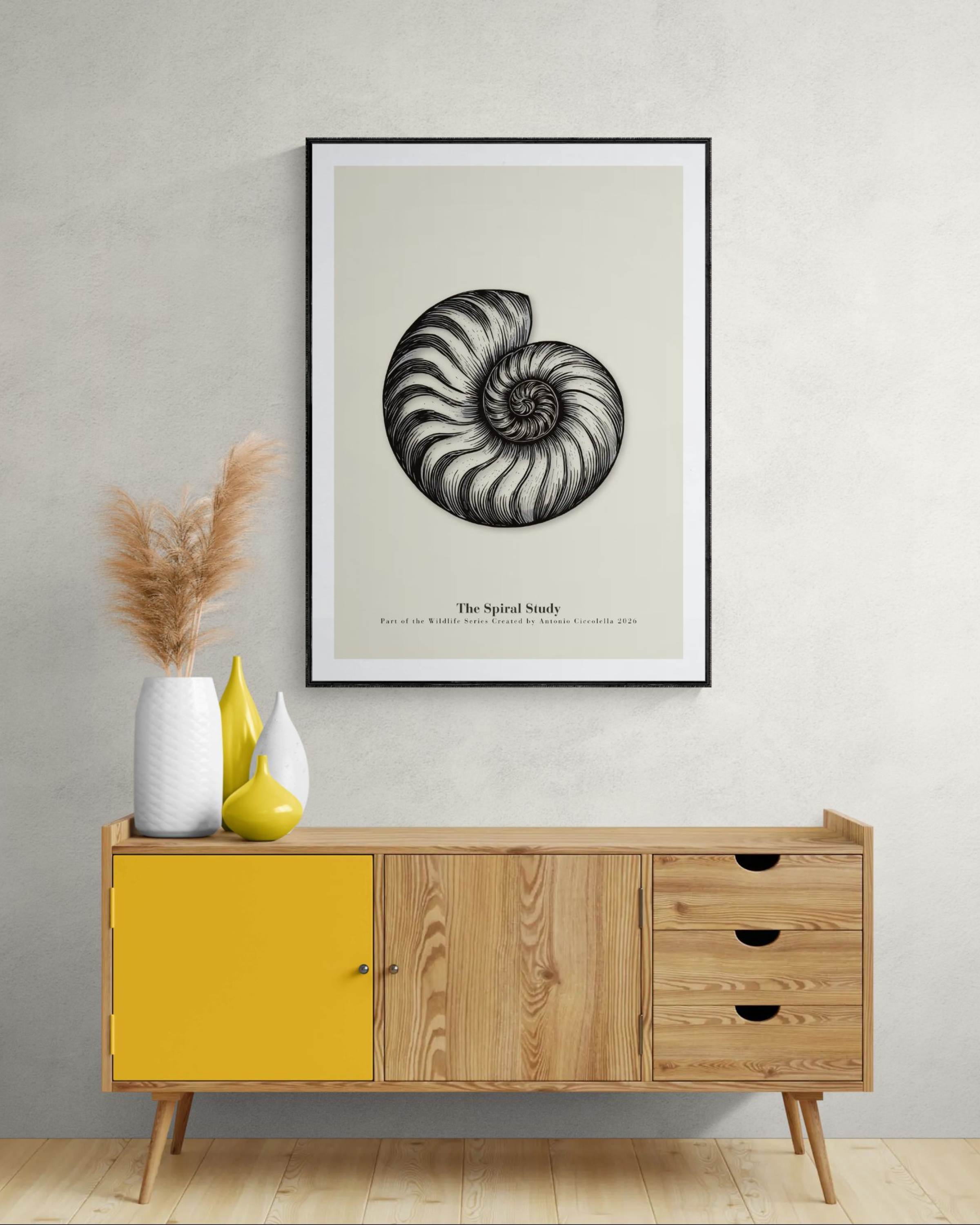 The Spiral Study | Vintage Nautilus Shell Fine Art Print