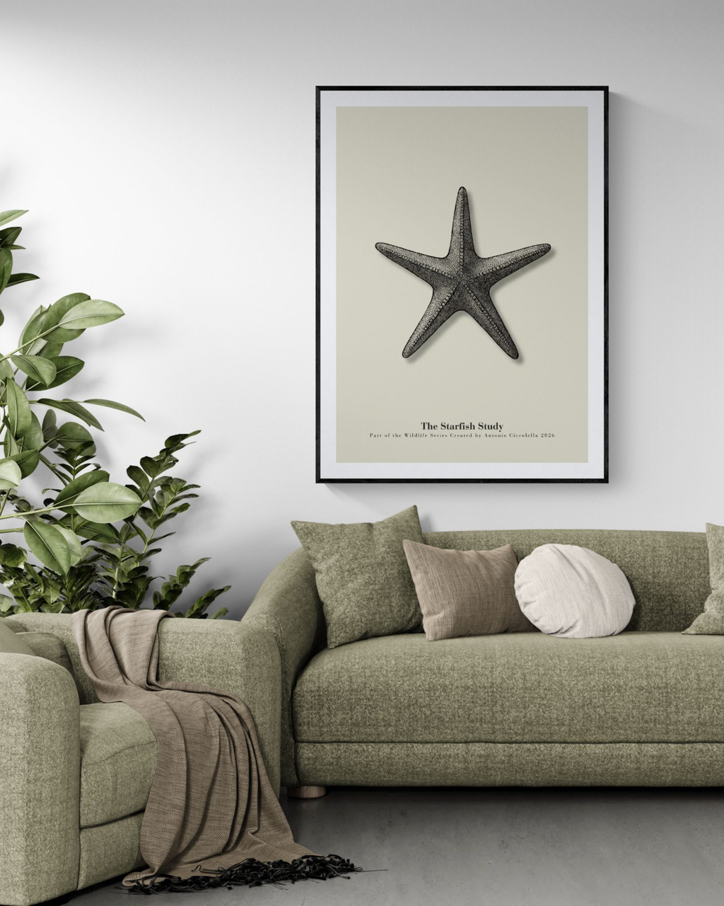 The Starfish Study | Vintage Starfish Fine Art Print