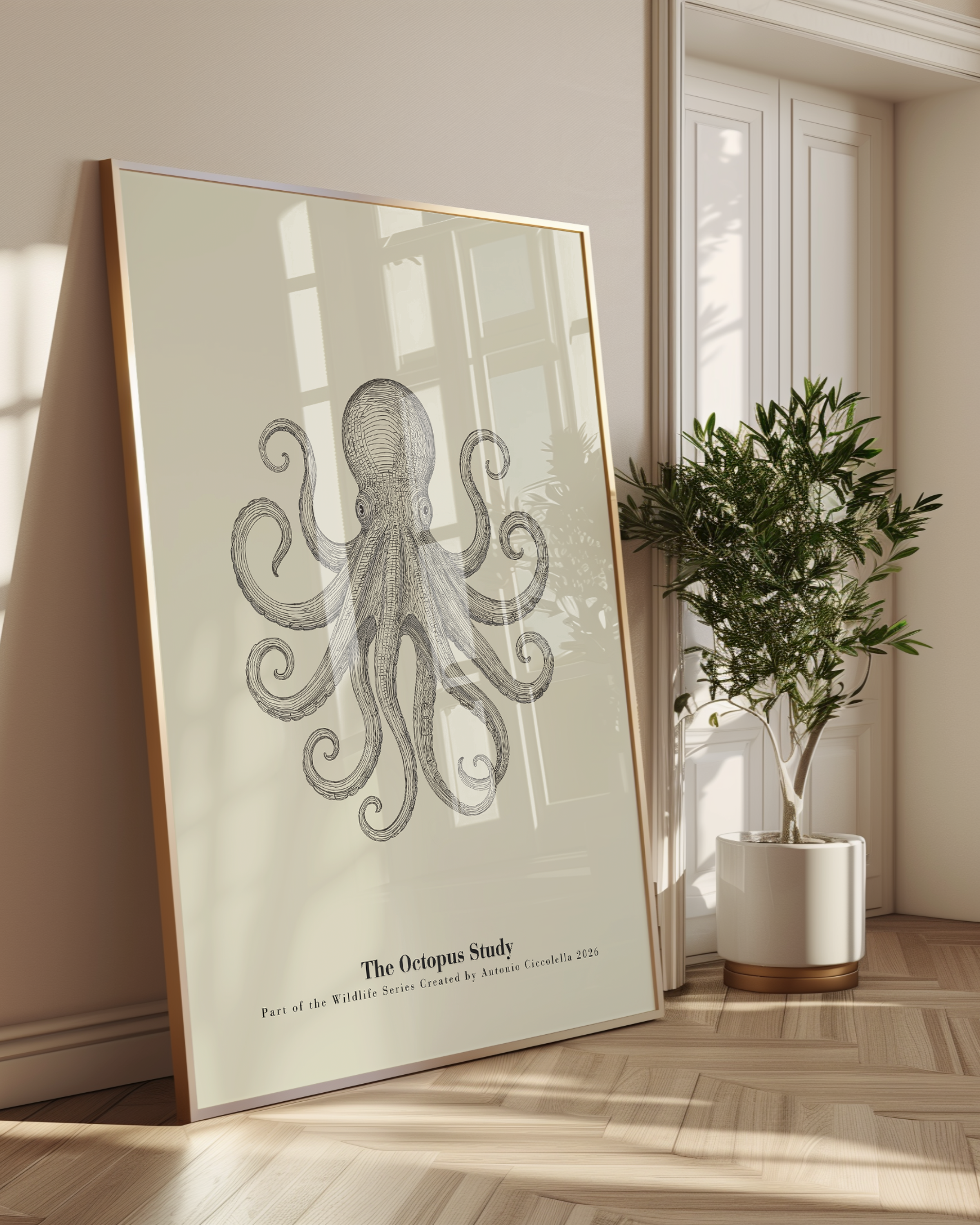The Octopus Study | Vintage Octopus Fine Art Print