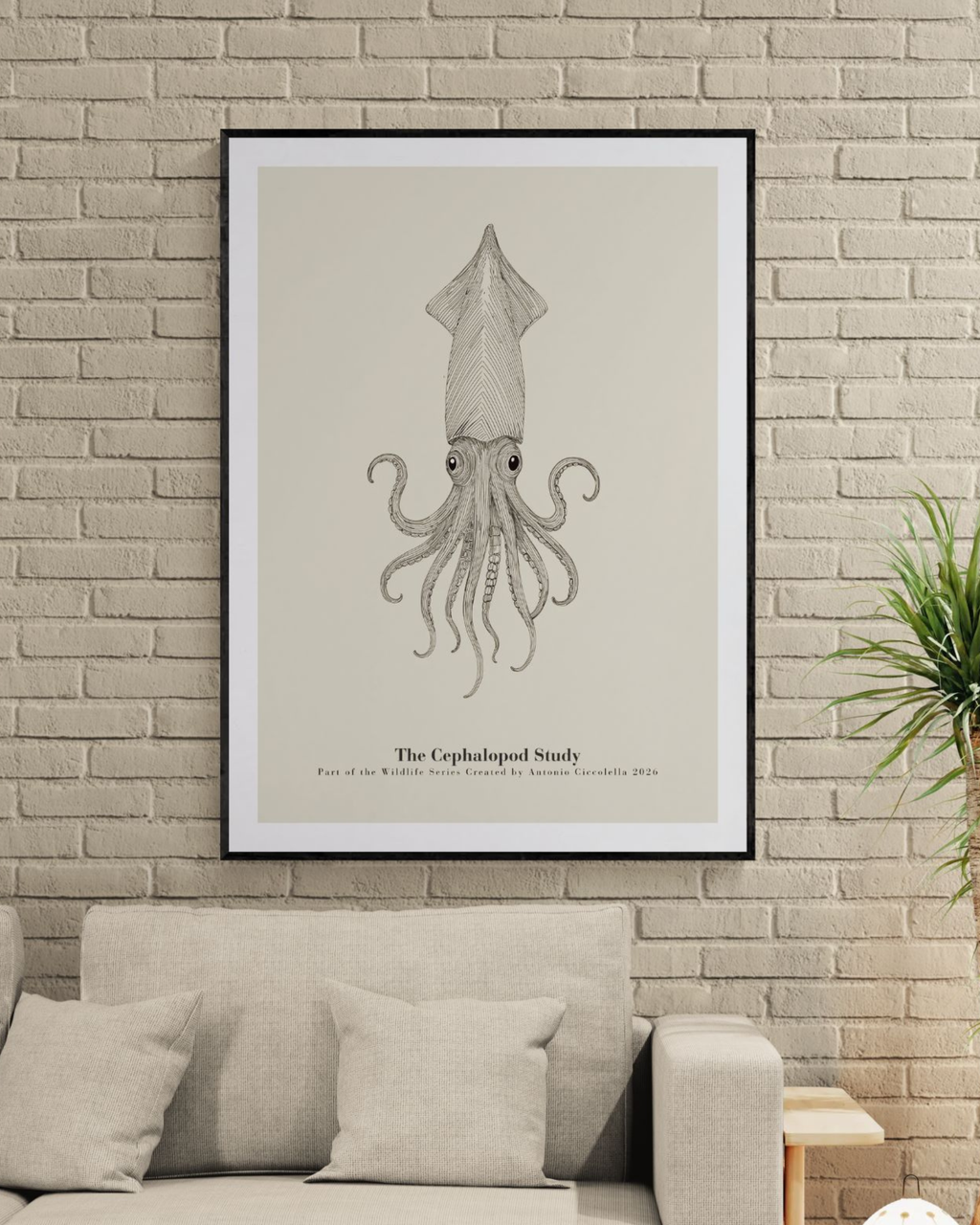 The Cephalopod Study | Vintage Squid Fine Art Print