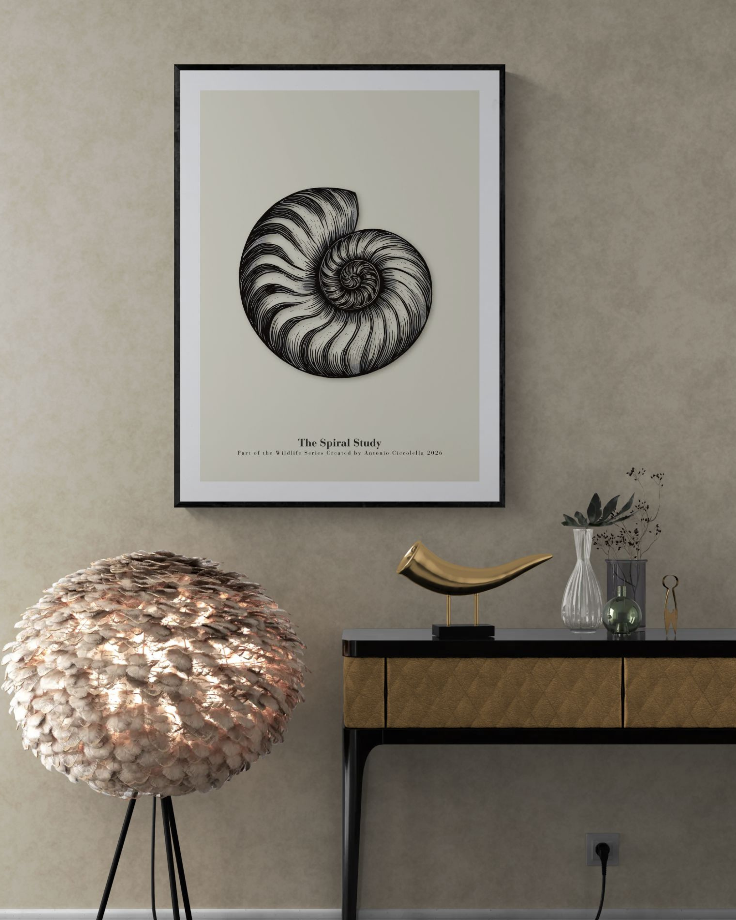 The Spiral Study | Vintage Nautilus Shell Fine Art Print