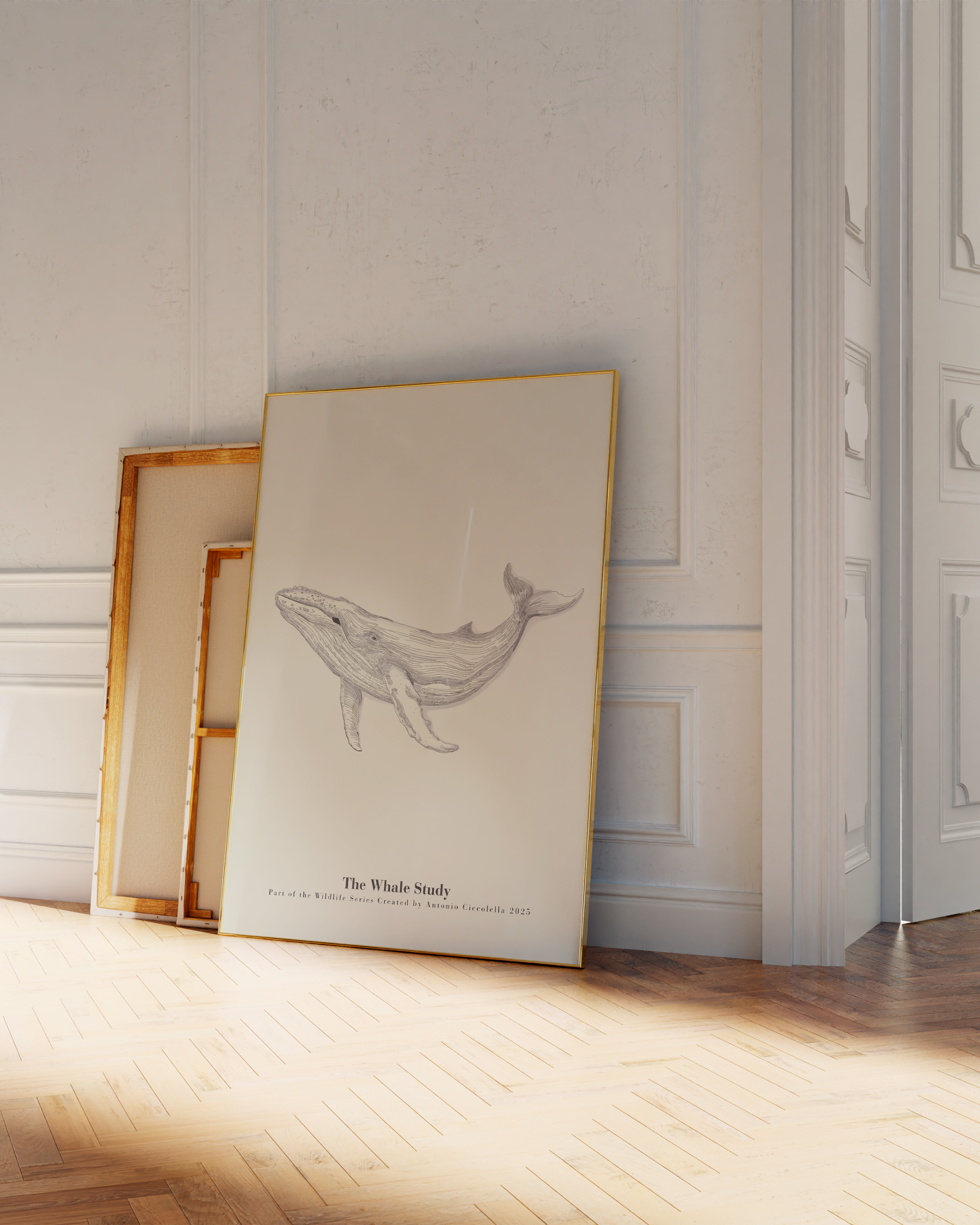 The Whale Study | Framed Whale Wall Art