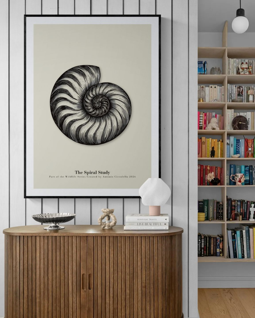 The Spiral Study | Vintage Nautilus Shell Fine Art Print