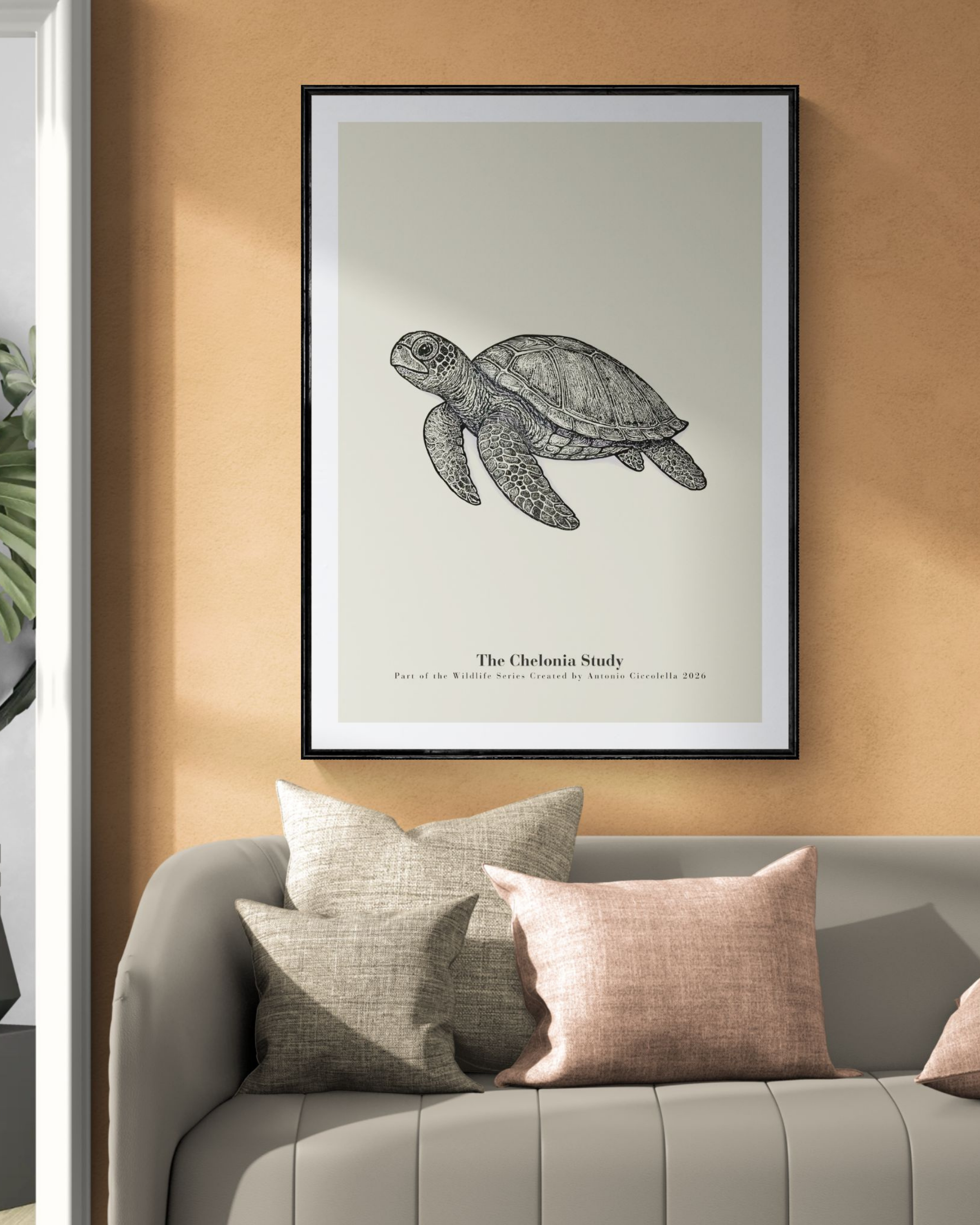 The Chelonia Study | Vintage Sea Turtle Fine Art Print
