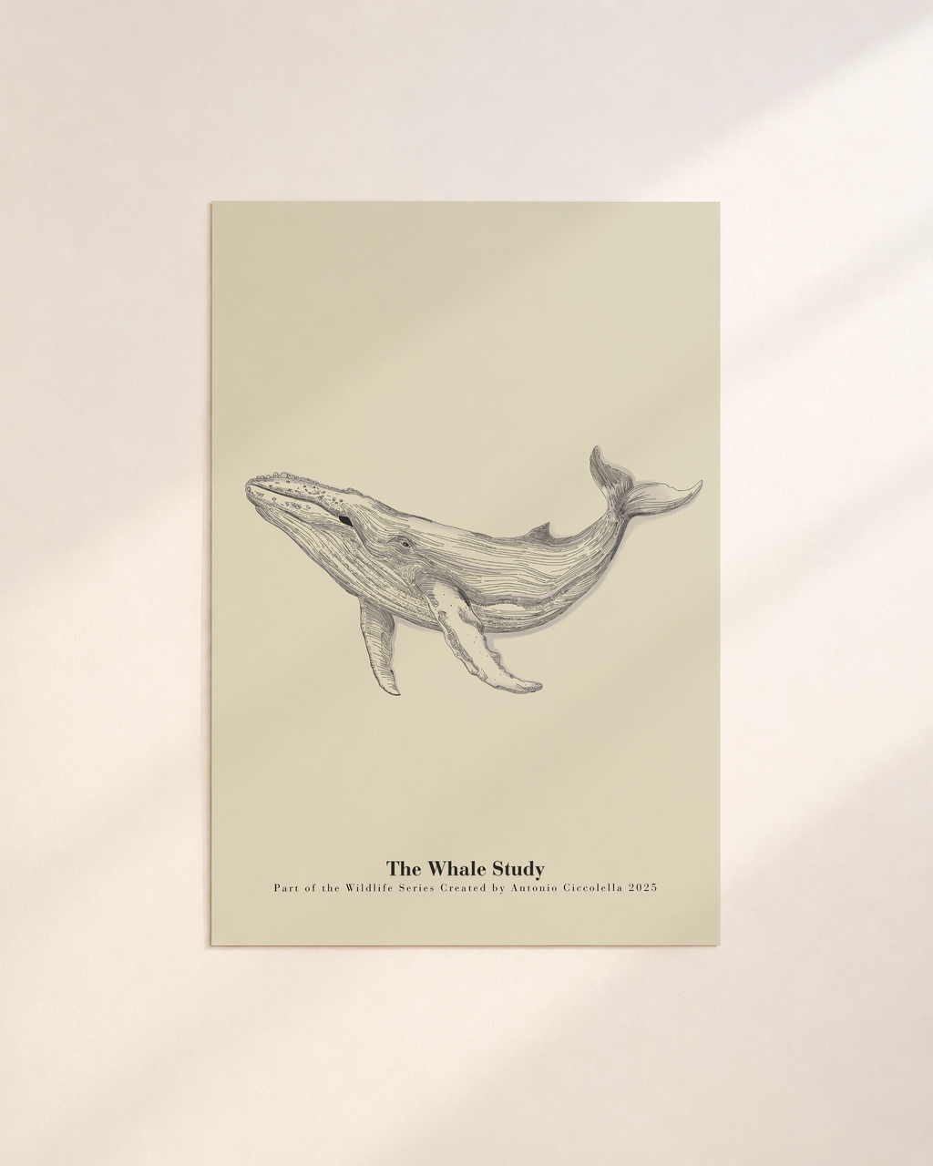 The Whale Study | Gallery Paper Whale Wall Art