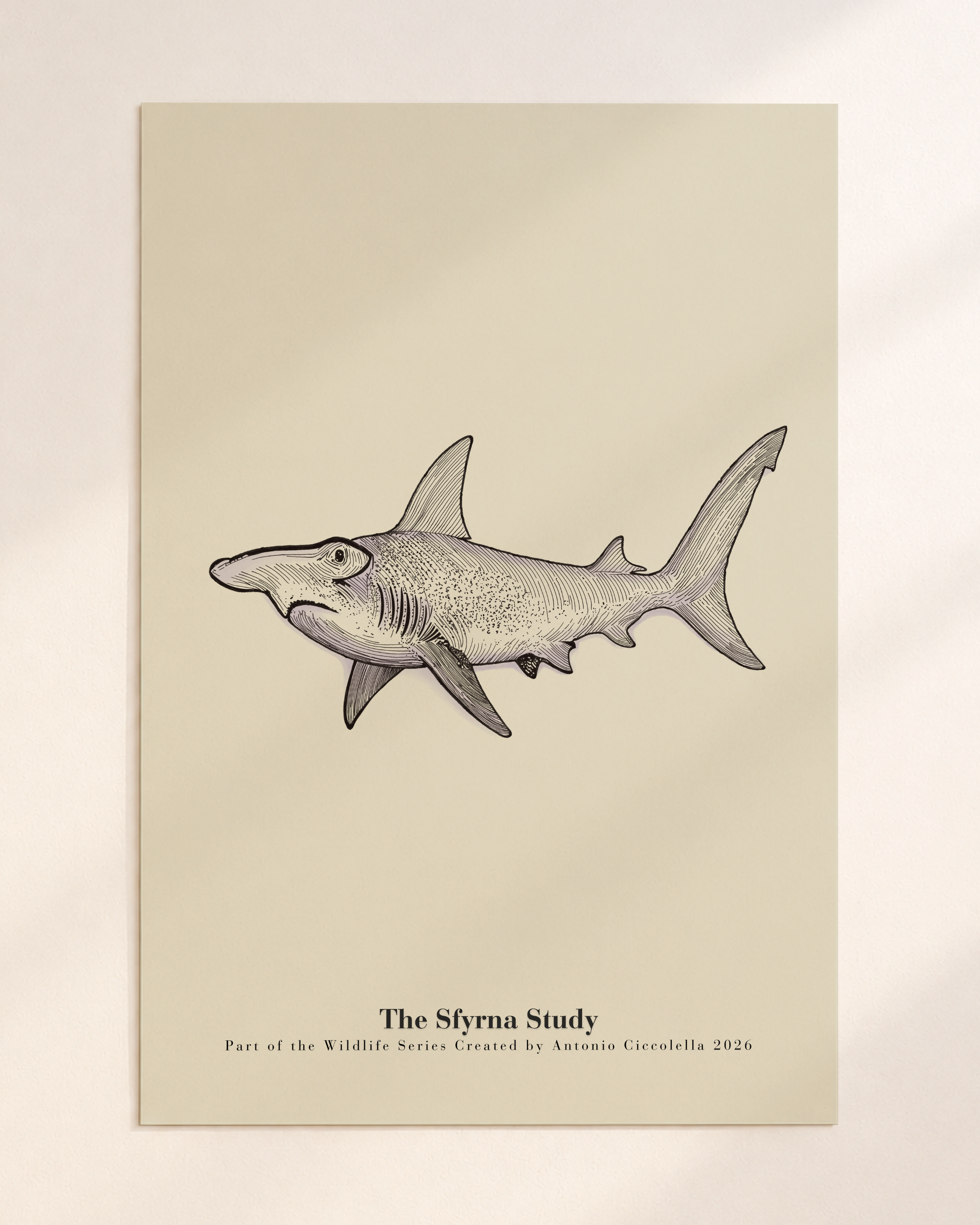 The Sfyrna Study | Gallery Paper Hammerhead Shark Wall Art