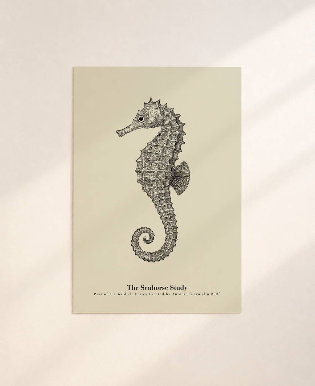 The Seahorse Study | Gallery Paper Seahorse Wall Art