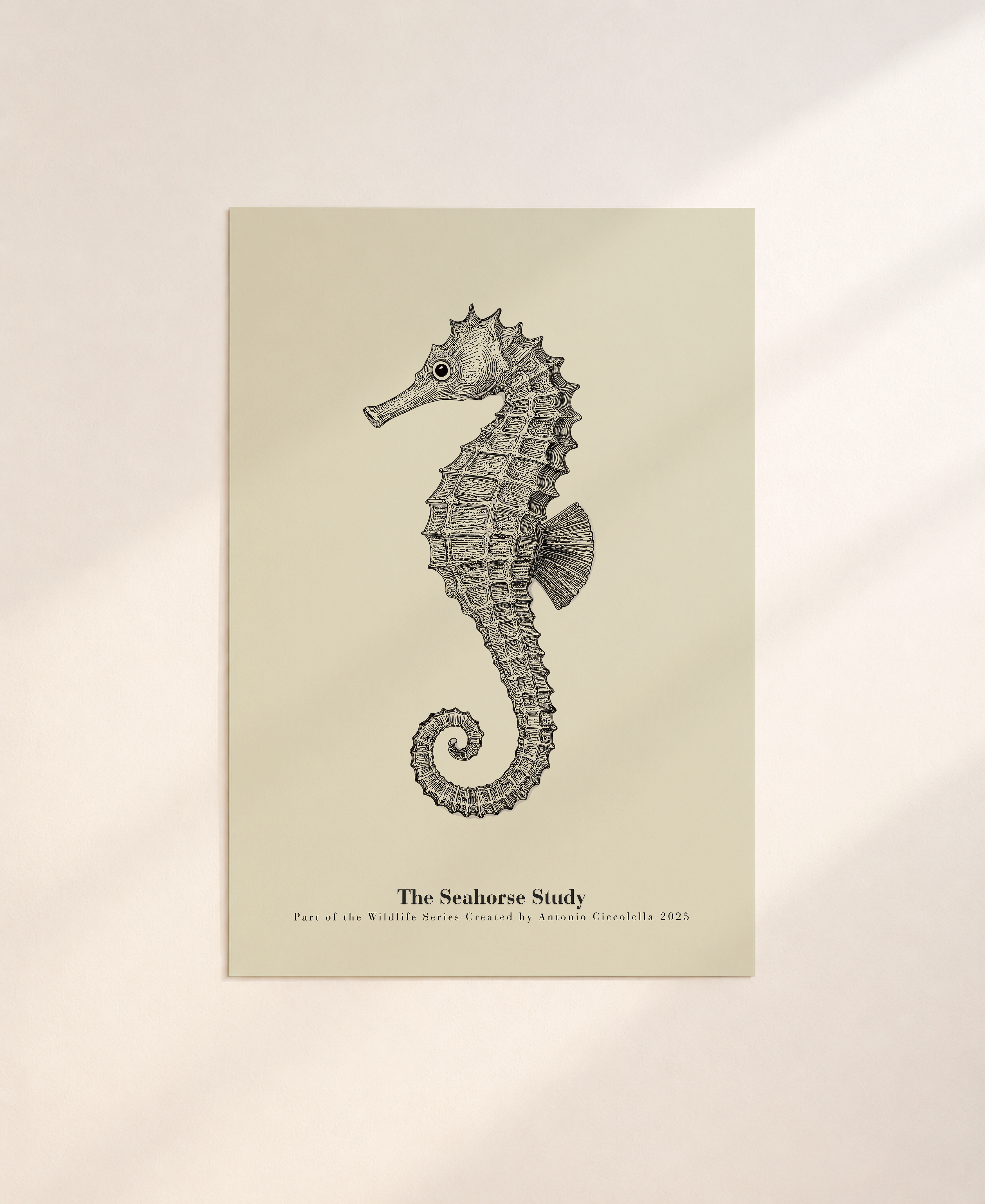 The Seahorse Study | Gallery Paper Seahorse Wall Art