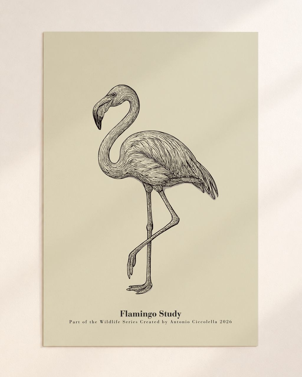 Flamingo Study | Gallery Paper Flamingo Wall Art