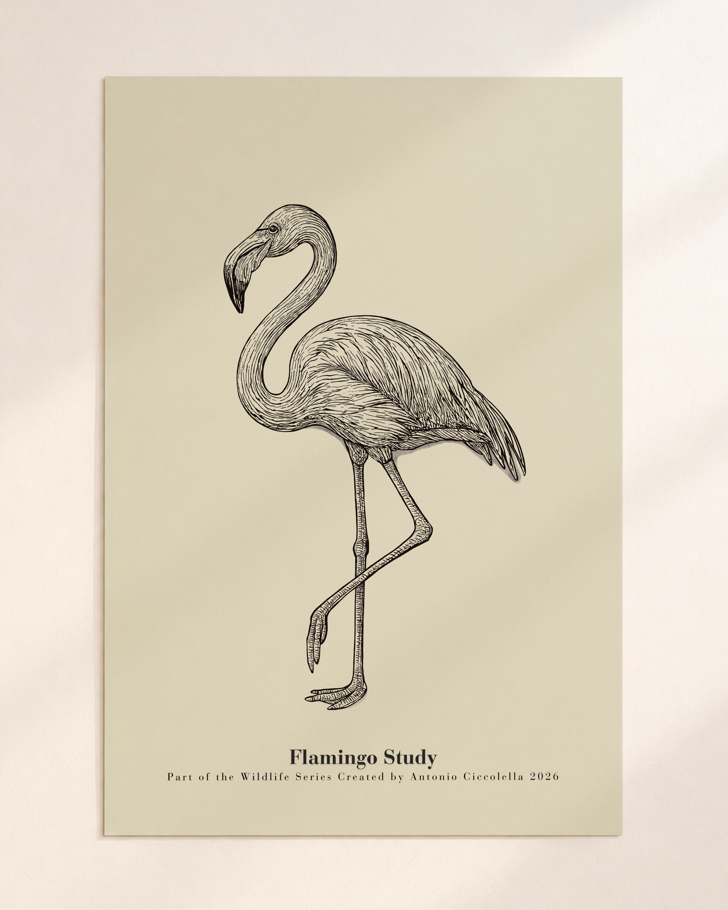 Flamingo Study | Gallery Paper Flamingo Wall Art