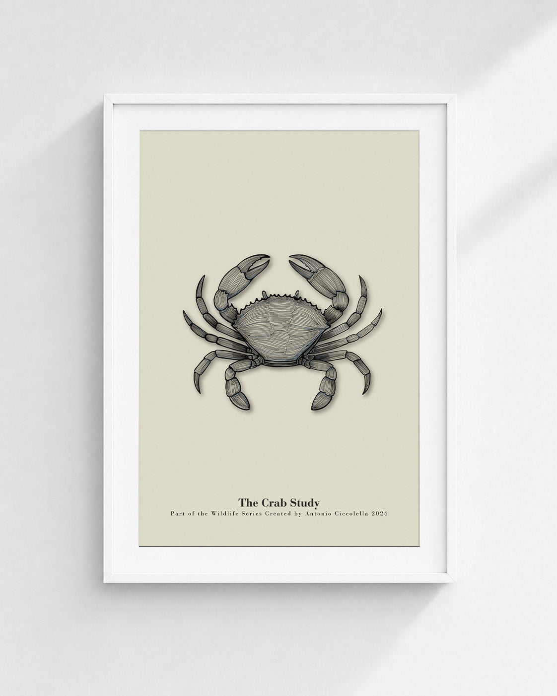The Crab Study | Vintage Crab Fine Art Print