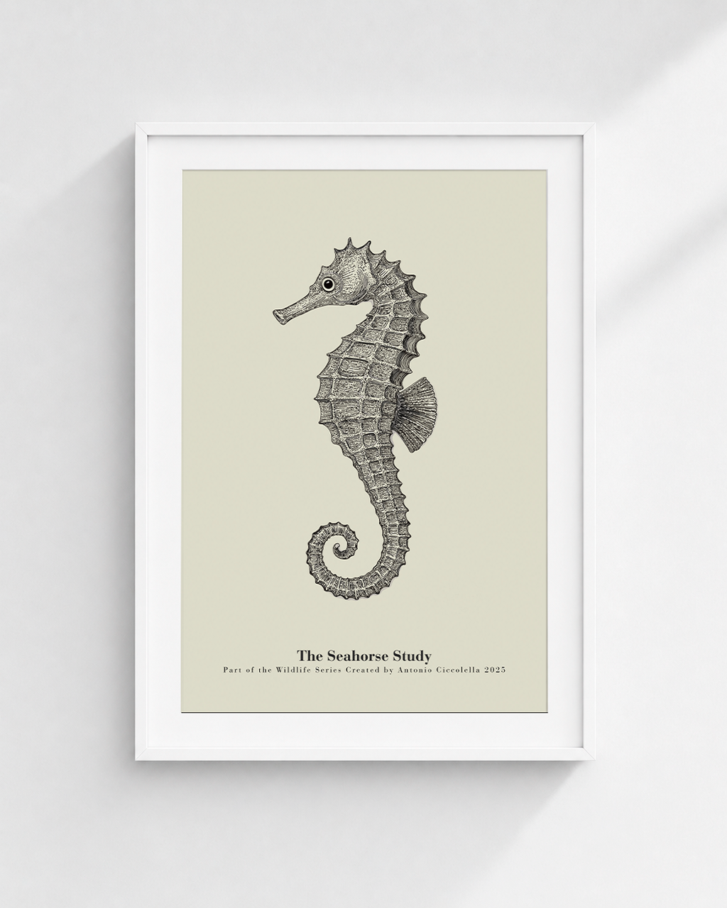 The Seahorse Study | Vintage Seahorse Fine Art Print