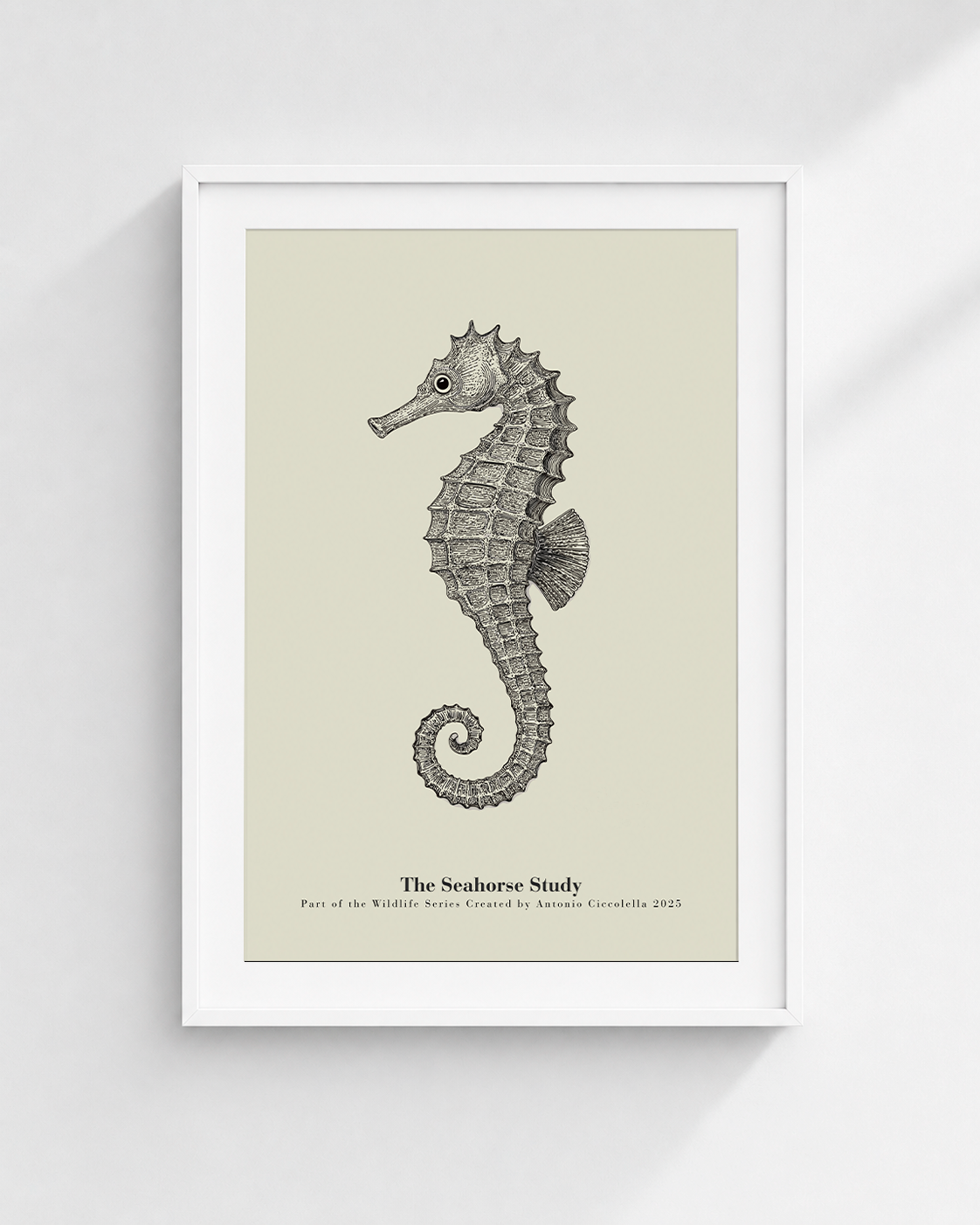 The Seahorse Study | Vintage Seahorse Fine Art Print