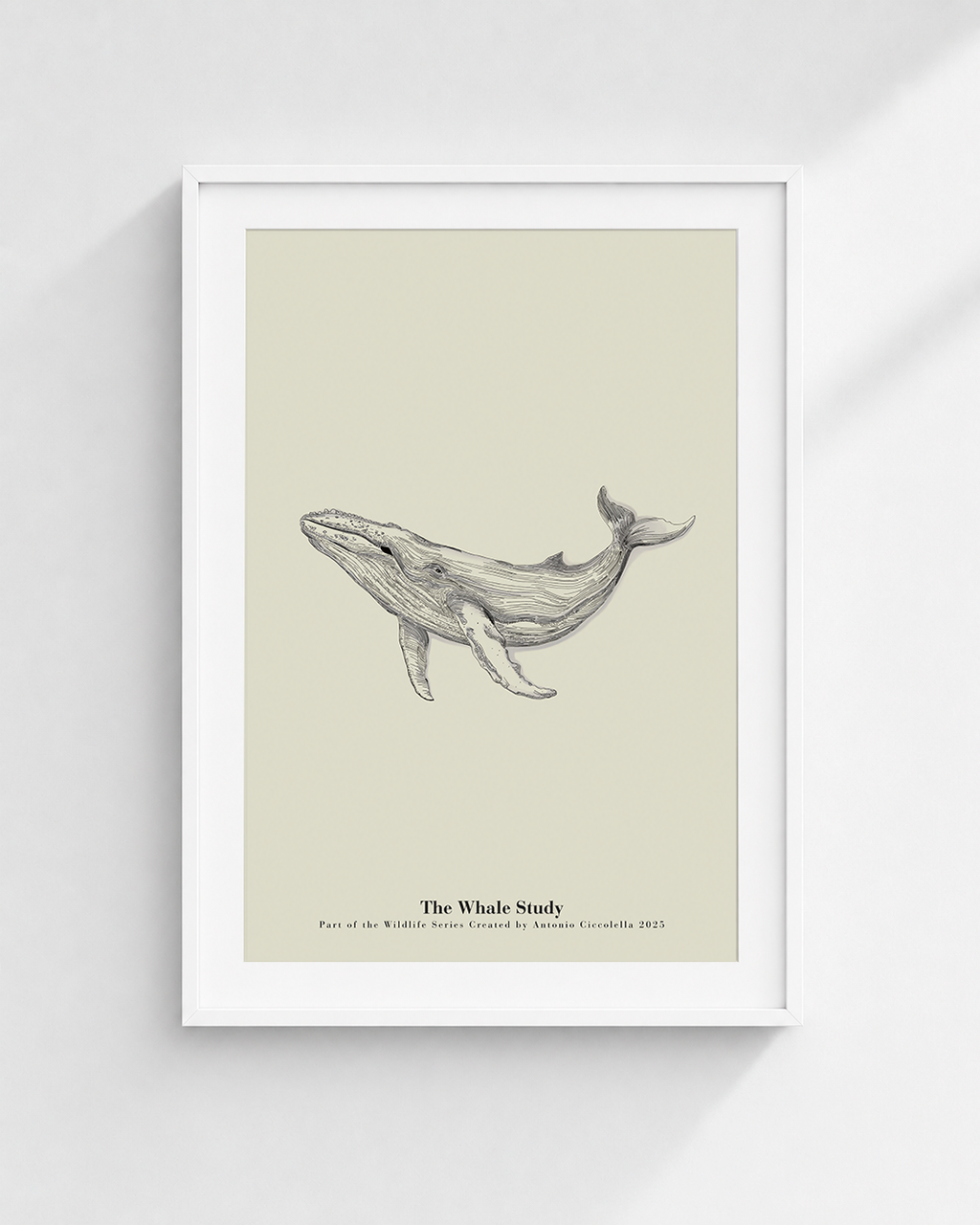 The Whale Study | Framed Whale Wall Art