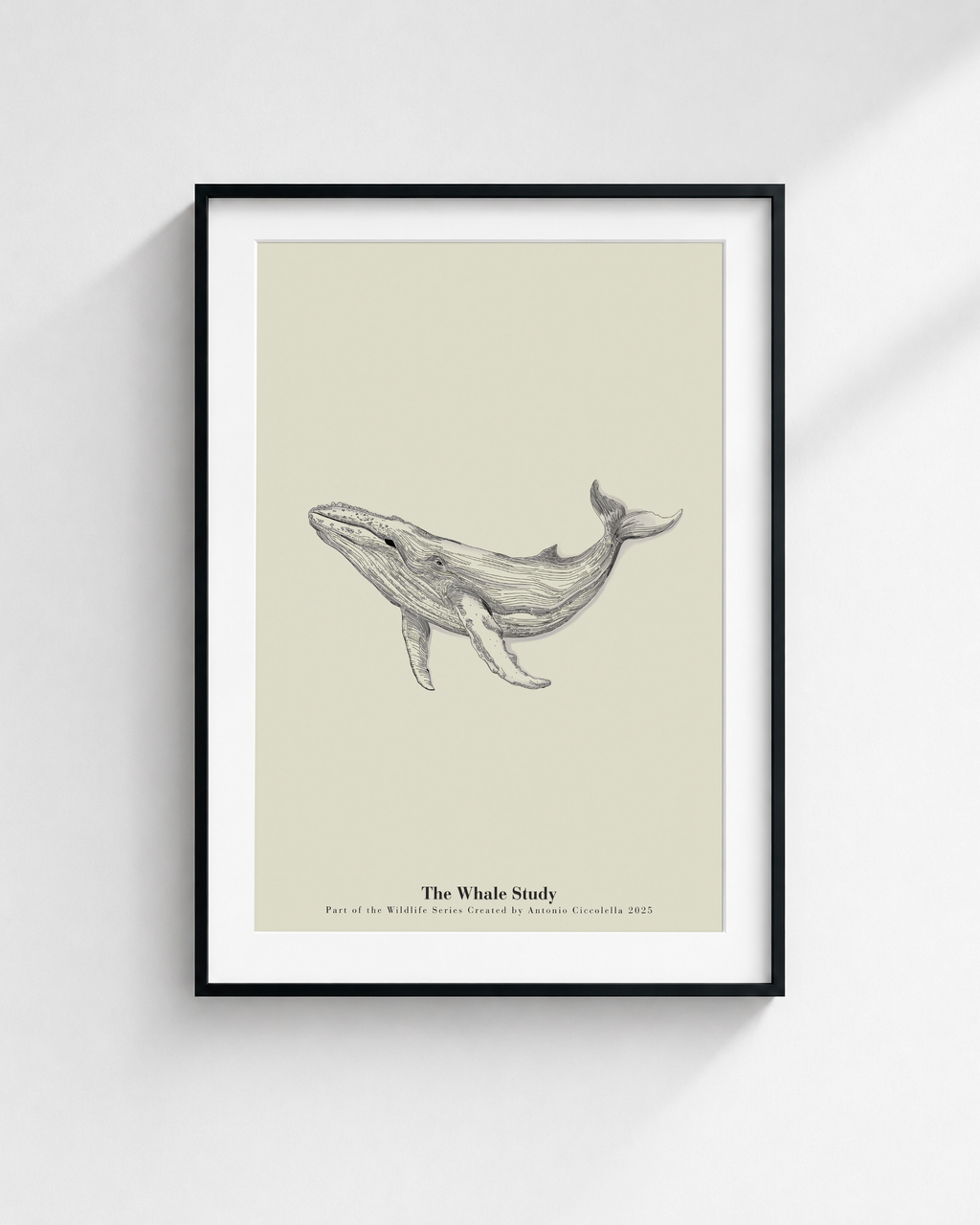 The Whale Study | Framed Whale Wall Art