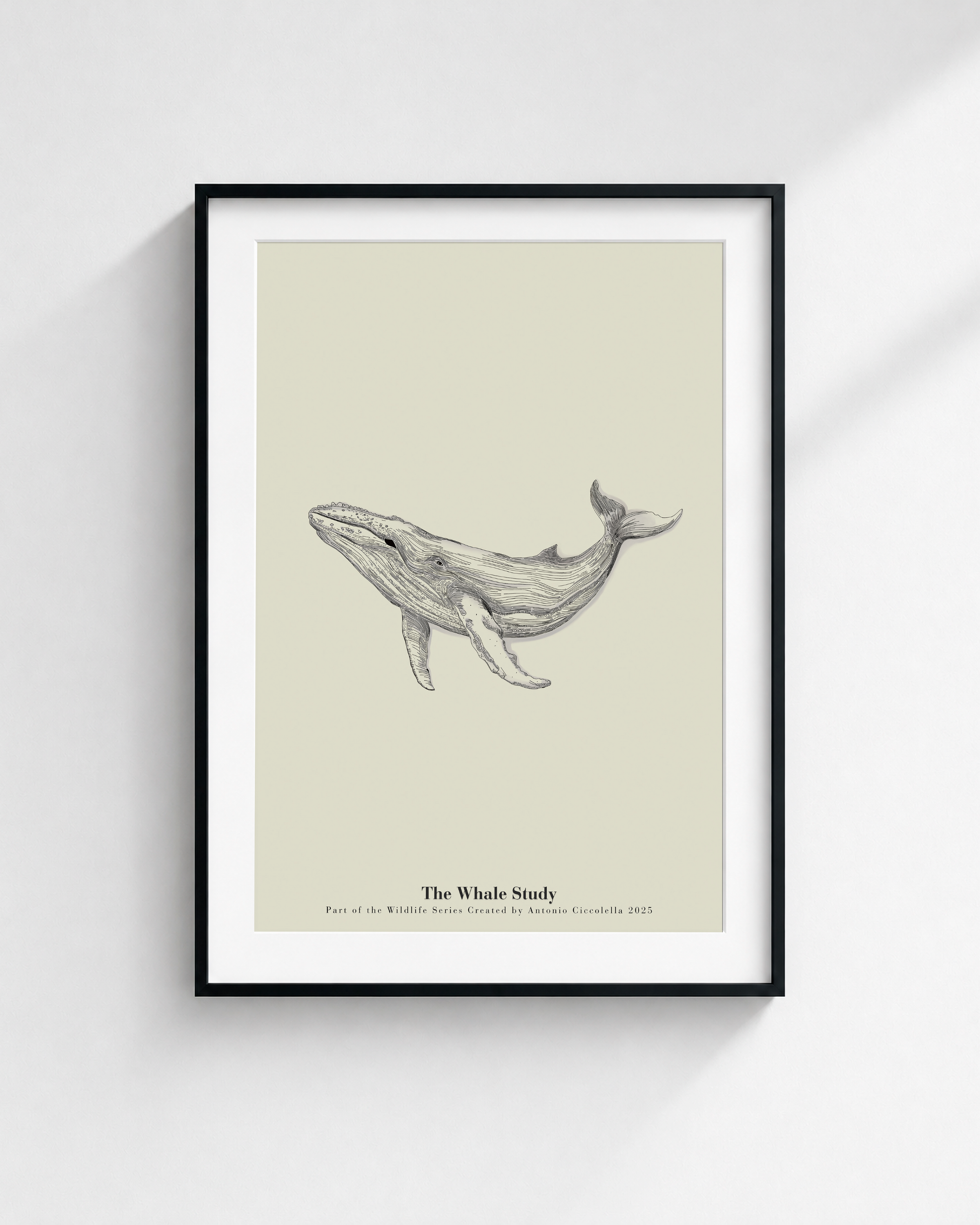The Whale Study | Framed Whale Wall Art