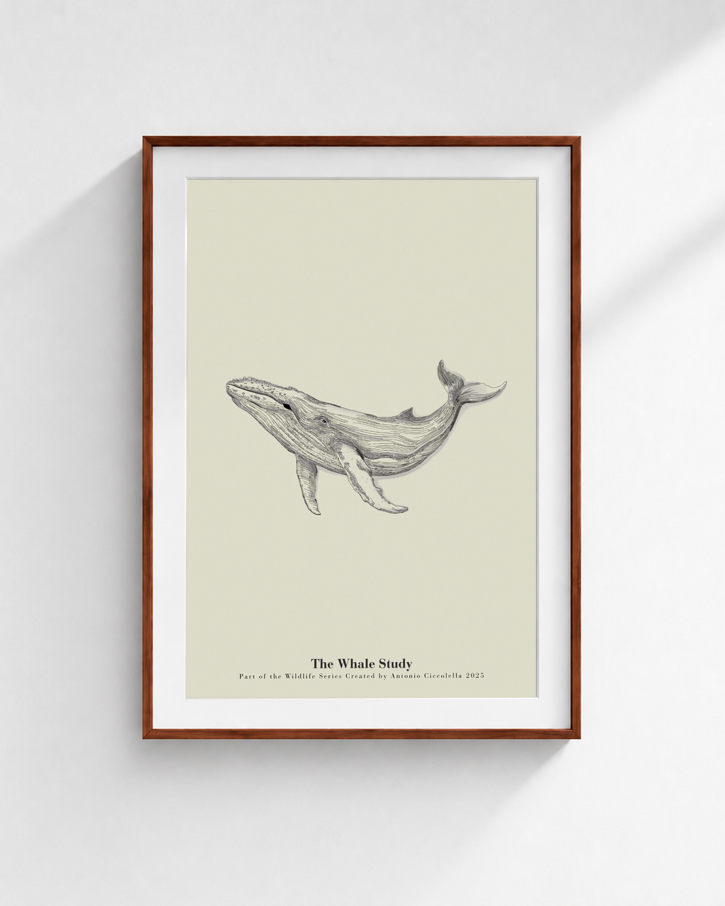 The Whale Study | Framed Whale Wall Art