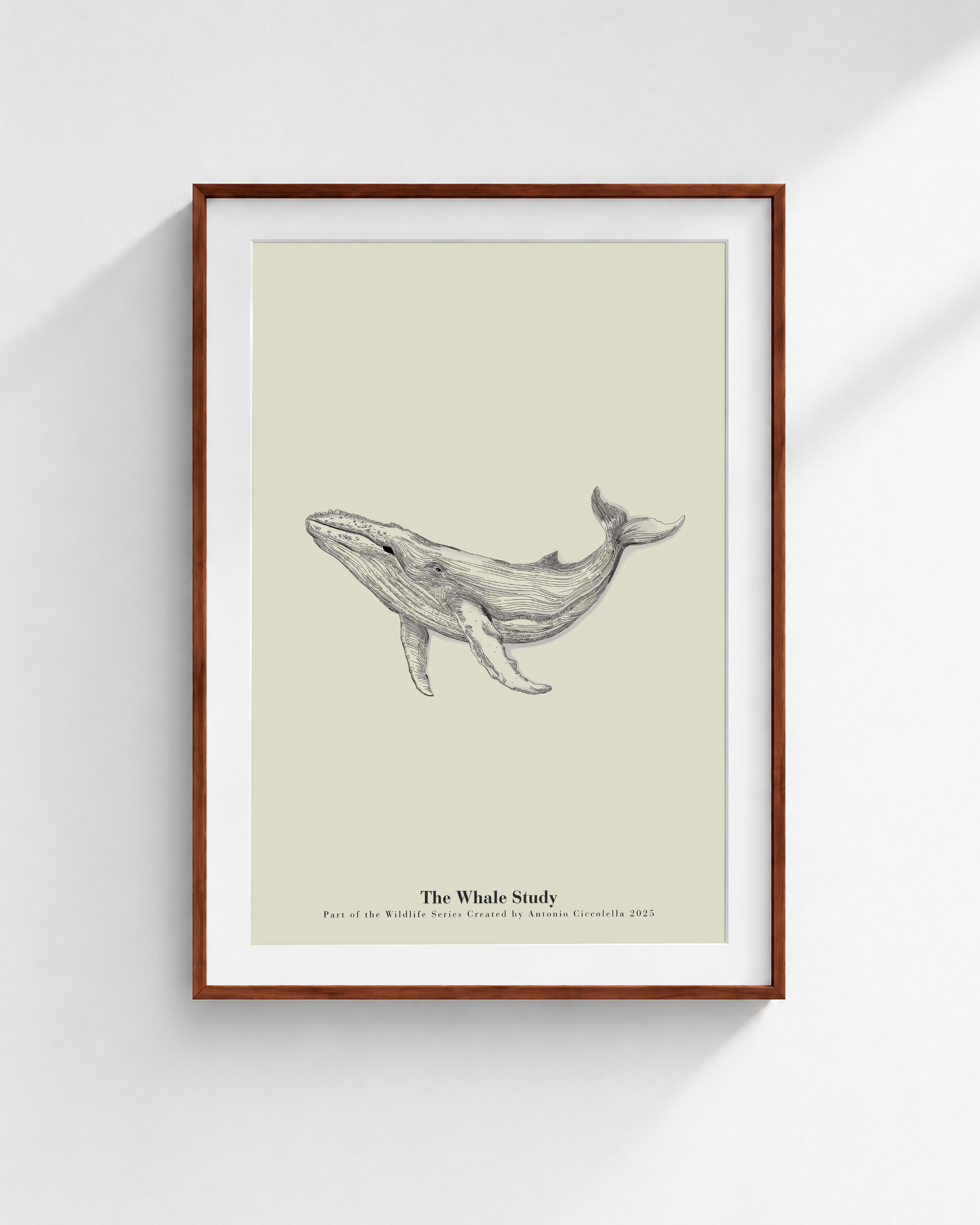 The Whale Study | Framed Whale Wall Art