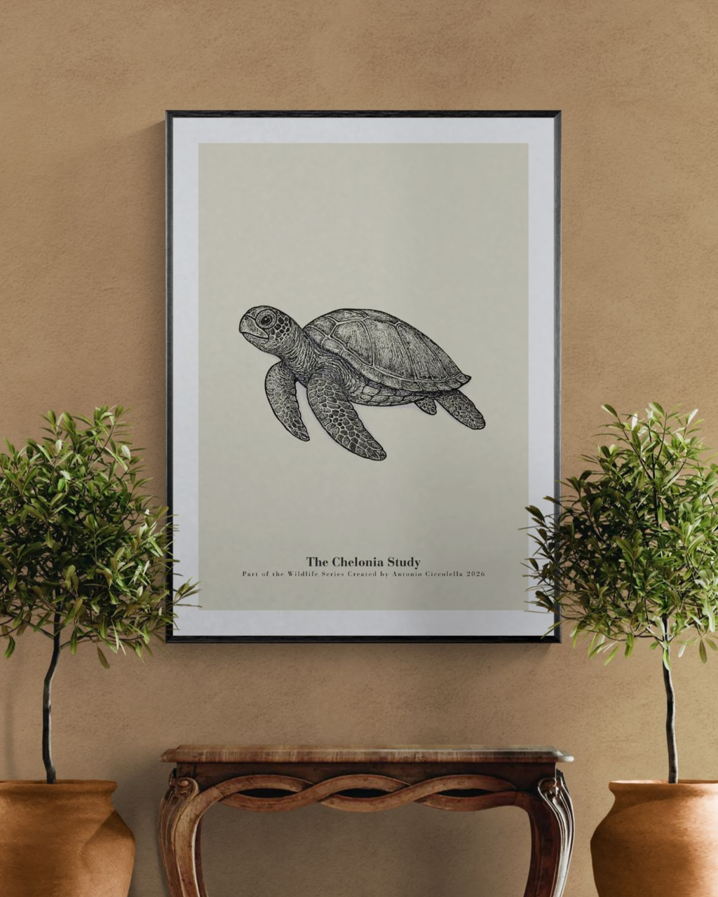 The Chelonia Study | Vintage Sea Turtle Fine Art Print