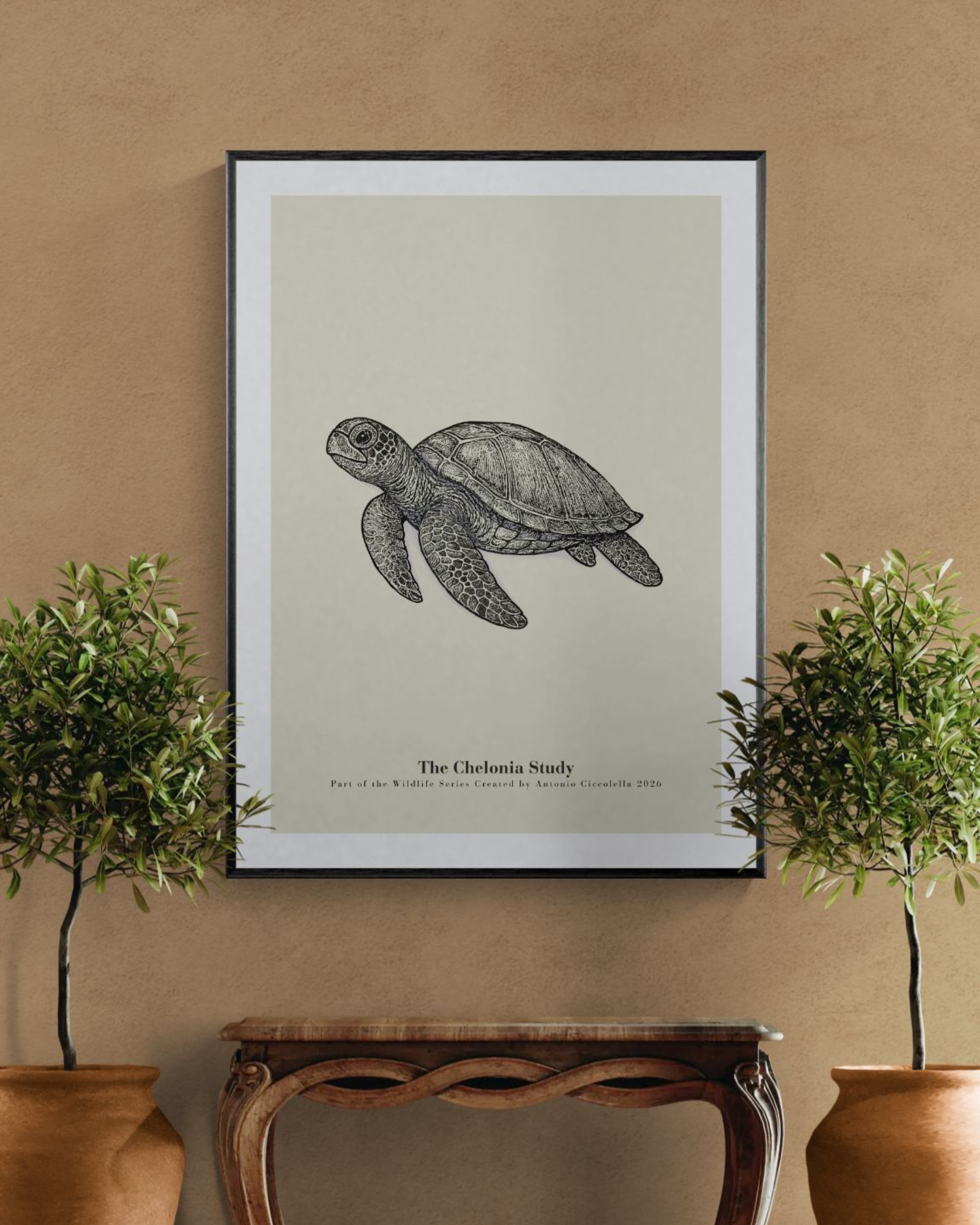 The Chelonia Study | Vintage Sea Turtle Fine Art Print